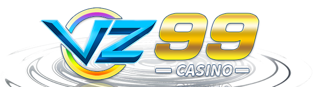 vz999.co